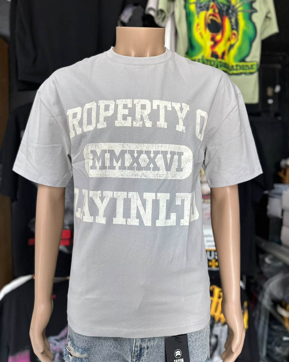 Camisa Zayin Oversize Property - Gris